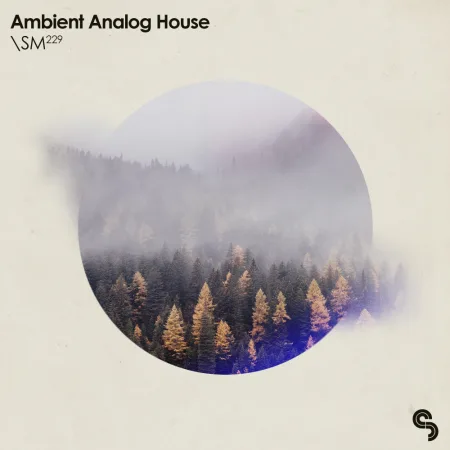 Ambient Analog House
