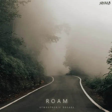 Roam: Atmospheric Breaks