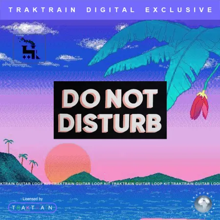 Do Not Disturb – Guitar Loop Kit