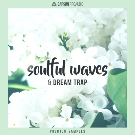 Soulful Waves & Dream Trap