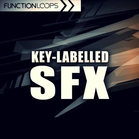 Key-Labelled SFX