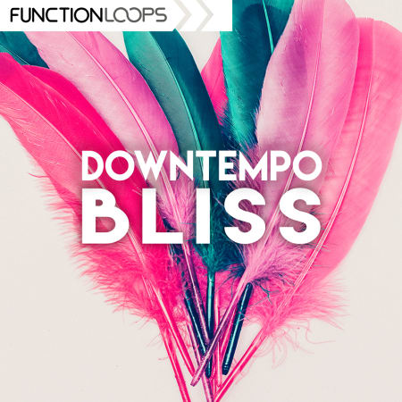 Downtempo Bliss