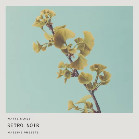 Matte Noise – Retro Noir