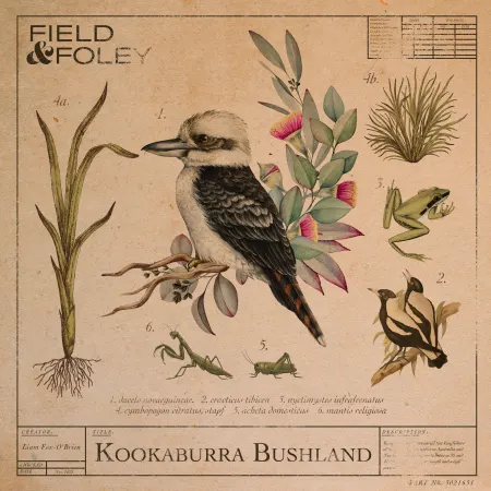 Kookaburra Bushland