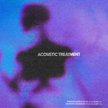 Acoustic Treatment