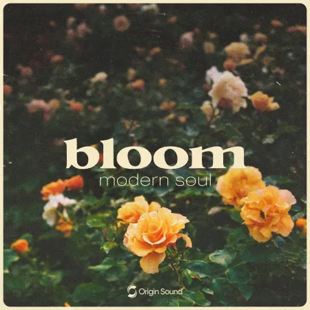 bloom – modern soul