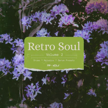 Retro Soul 2