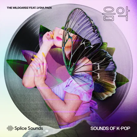 Wildcardz Feat. Lydia Paek – Sounds of K-Pop
