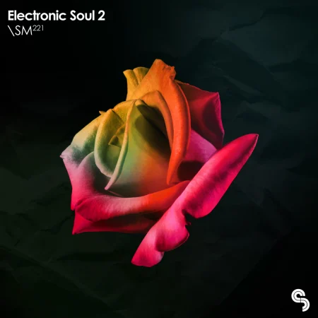 Electronic Soul 2