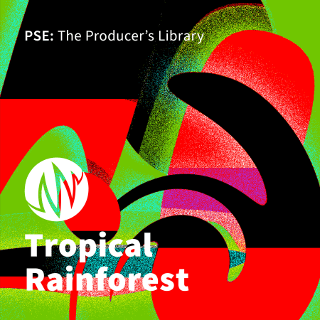 Tropical Rainforest