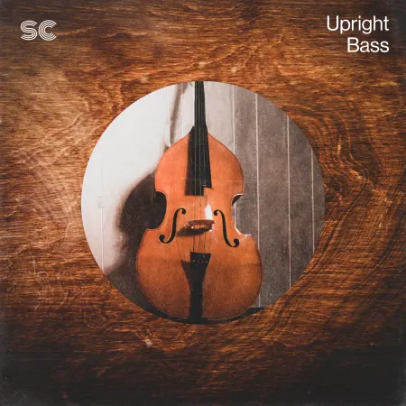 Upright Bass