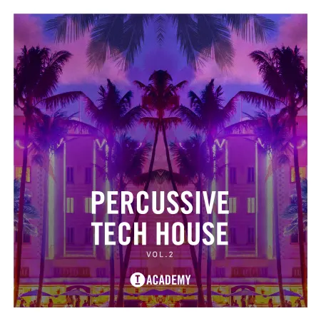 Percussive Tech House Vol. 2