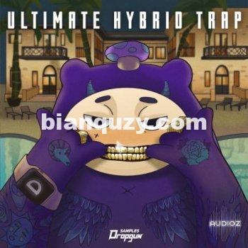 Ultimate Hybrid Trap