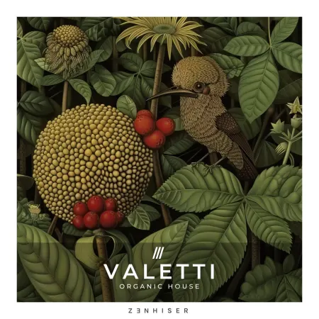 Valetti – Organic House