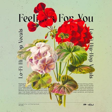 Feelings For You – Lofi Vocals